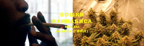 каннабис Белокуриха